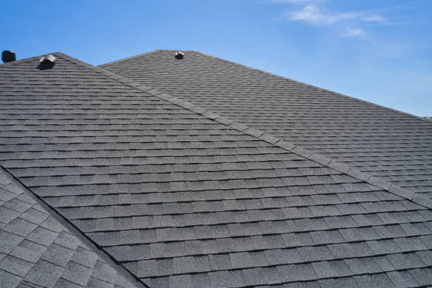 Best Roof Maintenance and Cleaning  in West Pelzer, SC